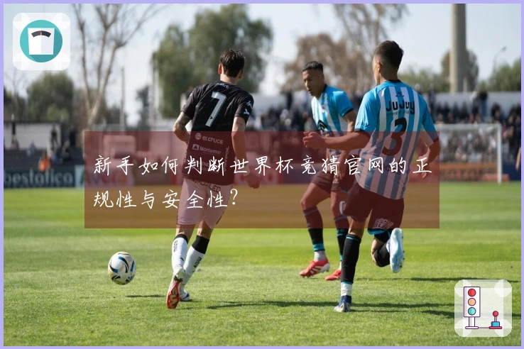 新手如何判断世界杯竞猜官网的正规性与安全性？