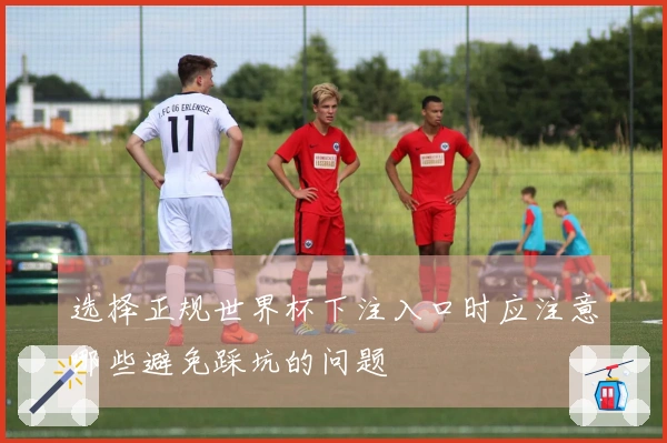 选择正规世界杯下注入口时应注意哪些避免踩坑的问题