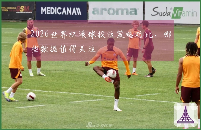 2026世界杯滚球投注策略对比，哪些数据值得关注