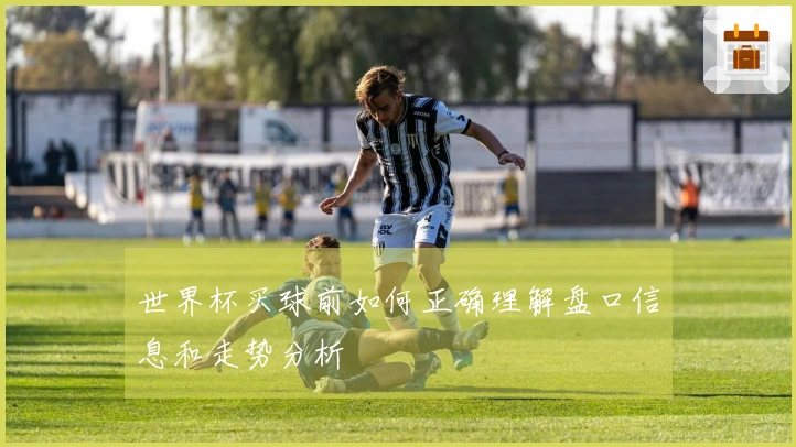 世界杯买球前如何正确理解盘口信息和走势分析