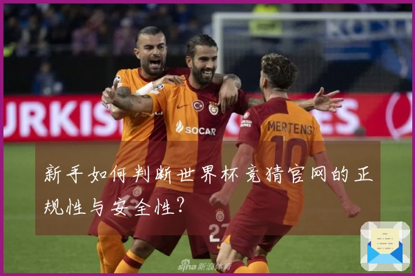 新手如何判断世界杯竞猜官网的正规性与安全性？