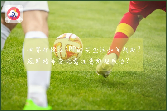 世界杯投注APP的安全性如何判断？冠军赔率变化需注意哪些风险？