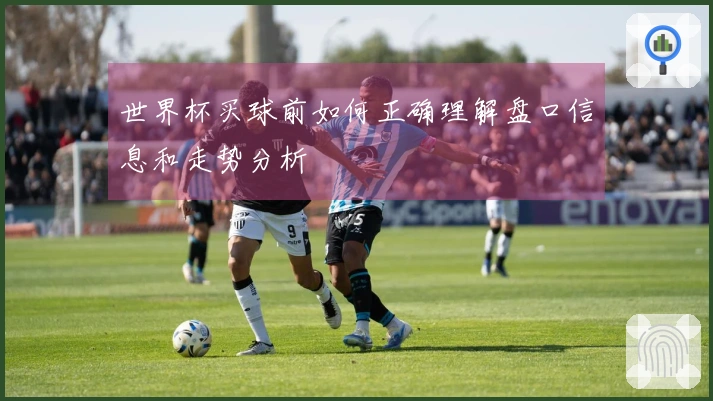 世界杯买球前如何正确理解盘口信息和走势分析