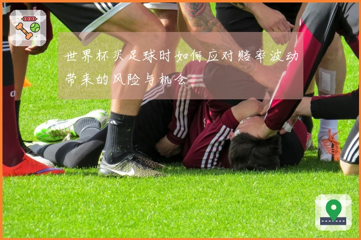 世界杯买足球时如何应对赔率波动带来的风险与机会