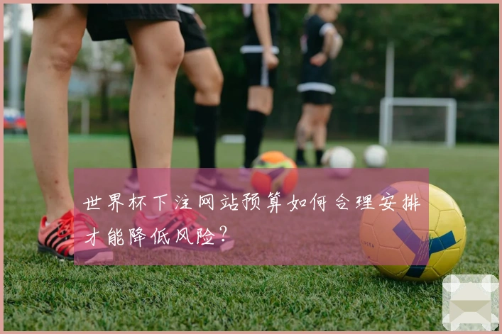 世界杯下注网站预算如何合理安排才能降低风险？