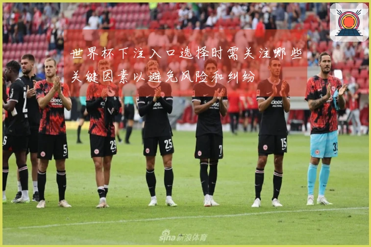 世界杯下注入口选择时需关注哪些关键因素以避免风险和纠纷
