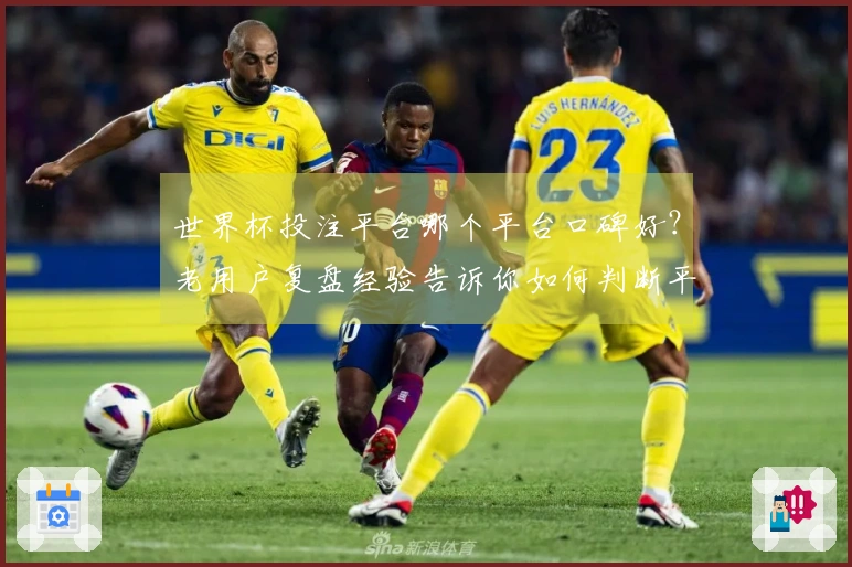世界杯投注平台哪个平台口碑好？老用户复盘经验告诉你如何判断平台正规可靠