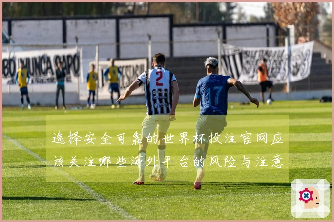 选择安全可靠的世界杯投注官网应该关注哪些海外平台的风险与注意事项