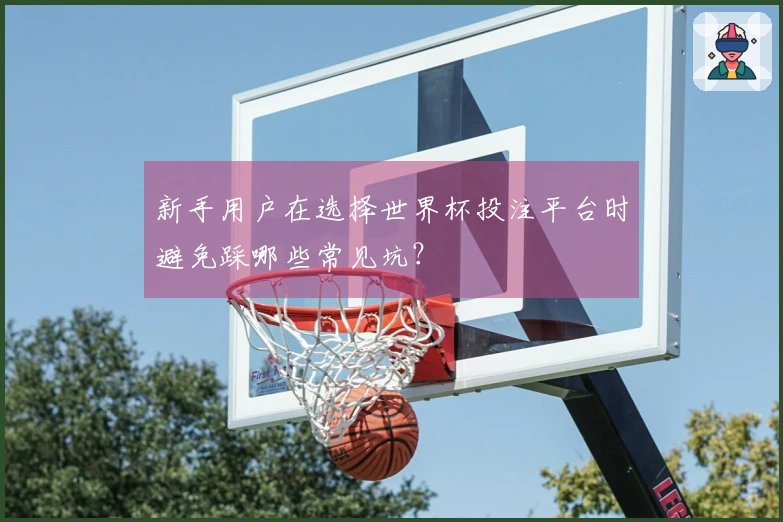新手用户在选择世界杯投注平台时避免踩哪些常见坑？