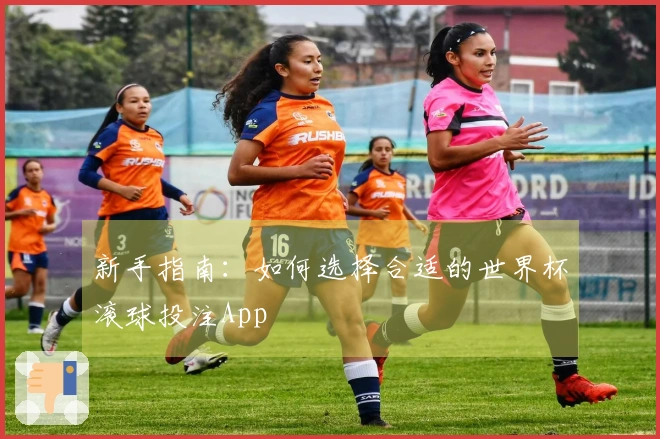 新手指南：如何选择合适的世界杯滚球投注App