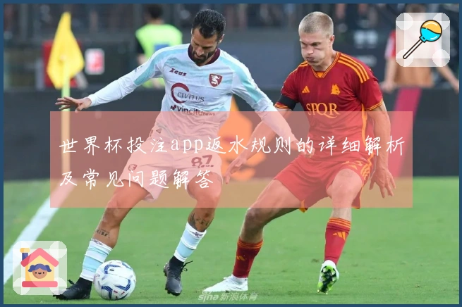 世界杯投注app返水规则的详细解析及常见问题解答