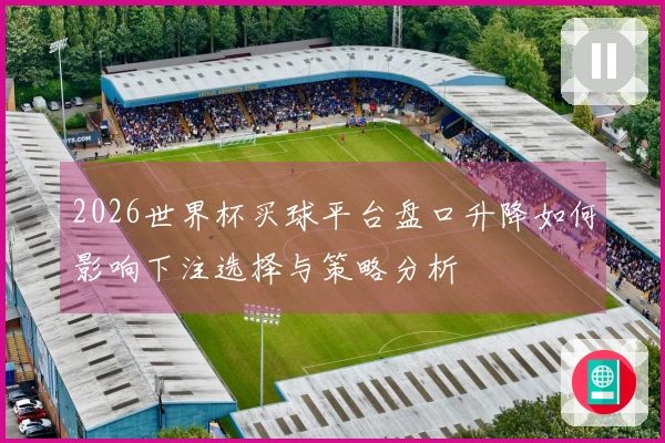 2026世界杯买球平台盘口升降如何影响下注选择与策略分析