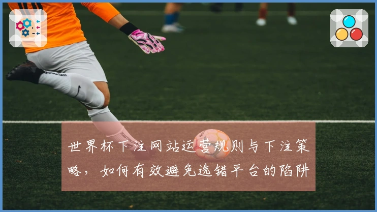 世界杯下注网站运营规则与下注策略，如何有效避免选错平台的陷阱