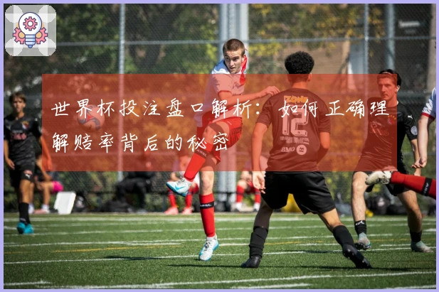 世界杯投注盘口解析：如何正确理解赔率背后的秘密