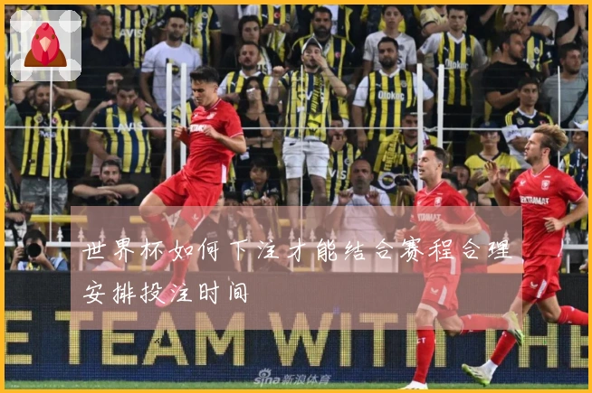 世界杯如何下注才能结合赛程合理安排投注时间