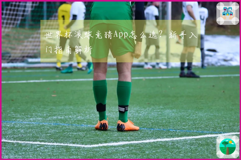 世界杯滚球竞猜App怎么选？新手入门指南解析