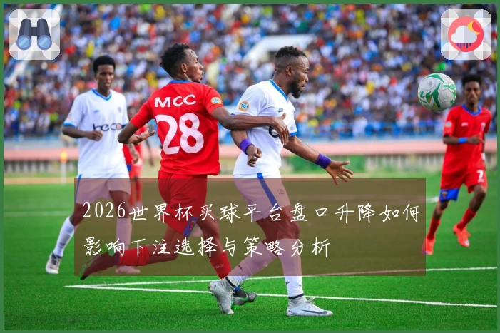 2026世界杯买球平台盘口升降如何影响下注选择与策略分析