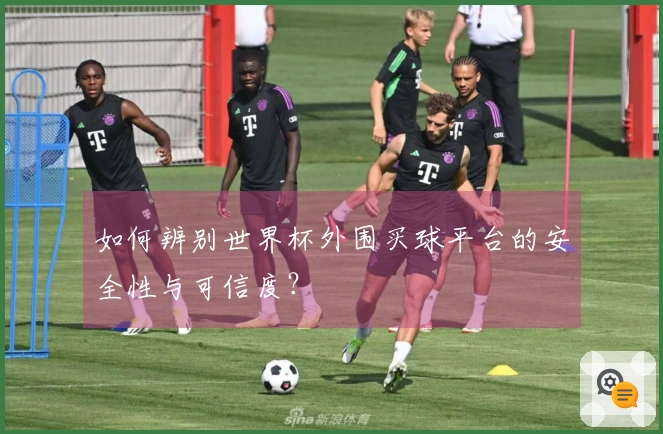 如何辨别世界杯外围买球平台的安全性与可信度？