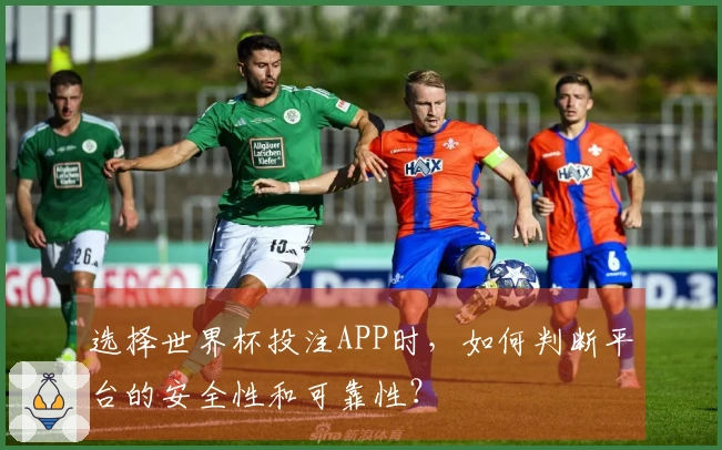 选择世界杯投注APP时，如何判断平台的安全性和可靠性？