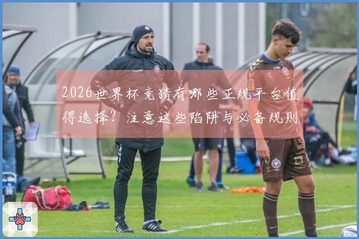 2026世界杯竞猜有哪些正规平台值得选择?注意这些陷阱与必备规则