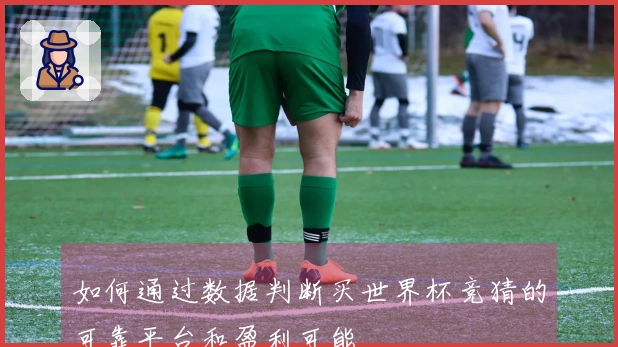 如何通过数据判断买世界杯竞猜的可靠平台和盈利可能