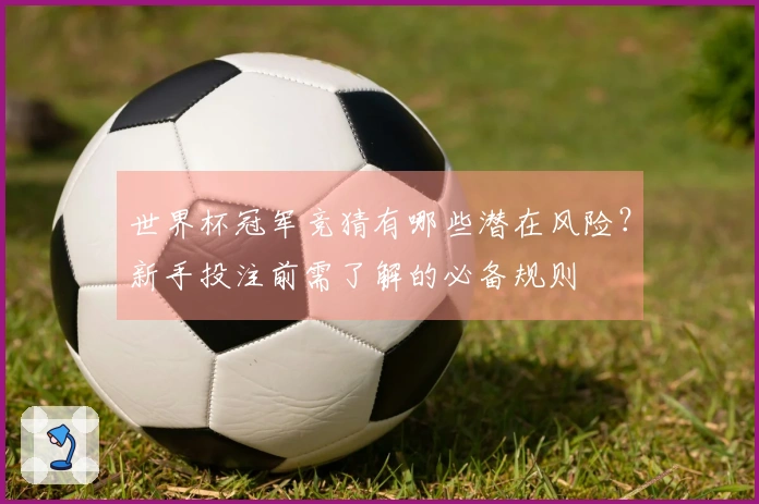 世界杯冠军竞猜有哪些潜在风险？新手投注前需了解的必备规则