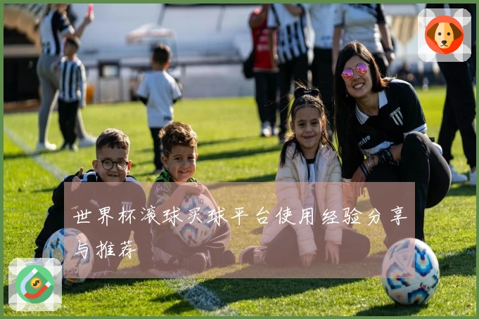 世界杯滚球买球平台使用经验分享与推荐