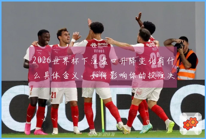 2026世界杯下注盘口升降变化有什么具体含义，如何影响你的投注决策？