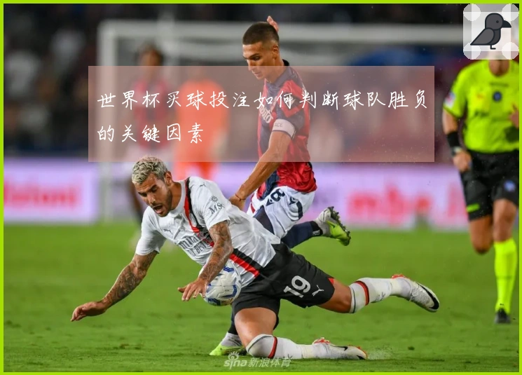世界杯买球投注如何判断球队胜负的关键因素