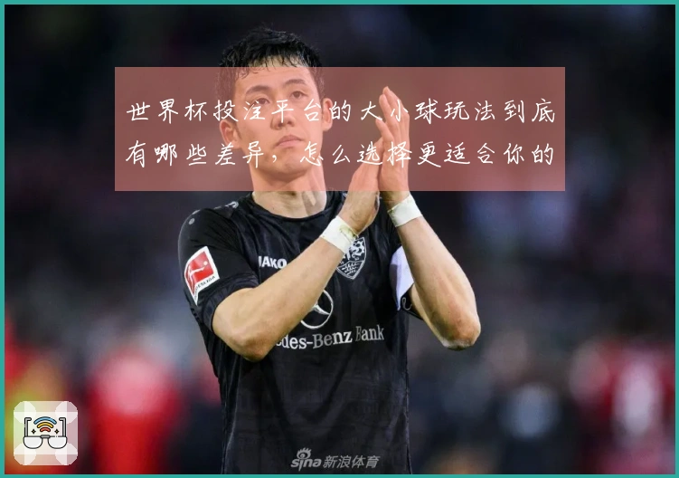 世界杯投注平台的大小球玩法到底有哪些差异，怎么选择更适合你的方案？