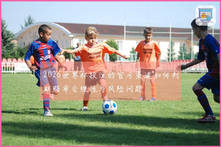 2026世界杯投注的官方渠道如何判断赔率合理性与风险问题