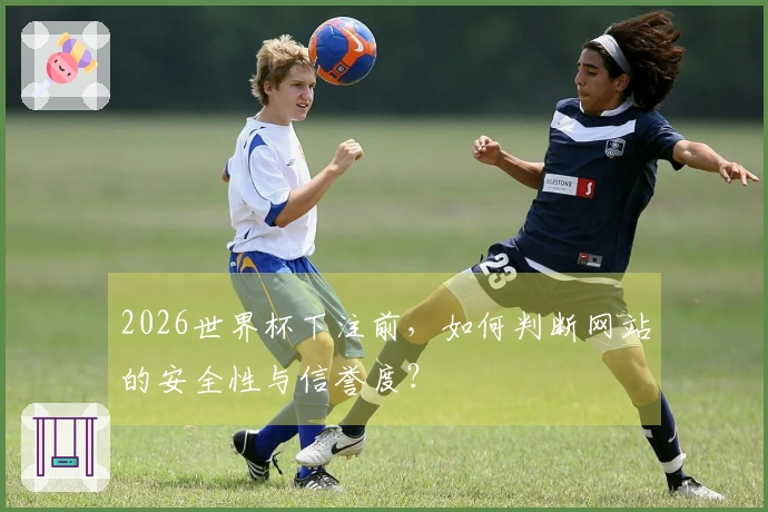 2026世界杯下注前，如何判断网站的安全性与信誉度？