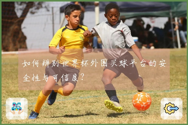 如何辨别世界杯外围买球平台的安全性与可信度？