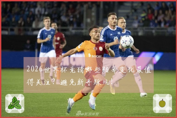 2026世界杯竞猜哪些赔率变化最值得关注？避免新手踩坑！