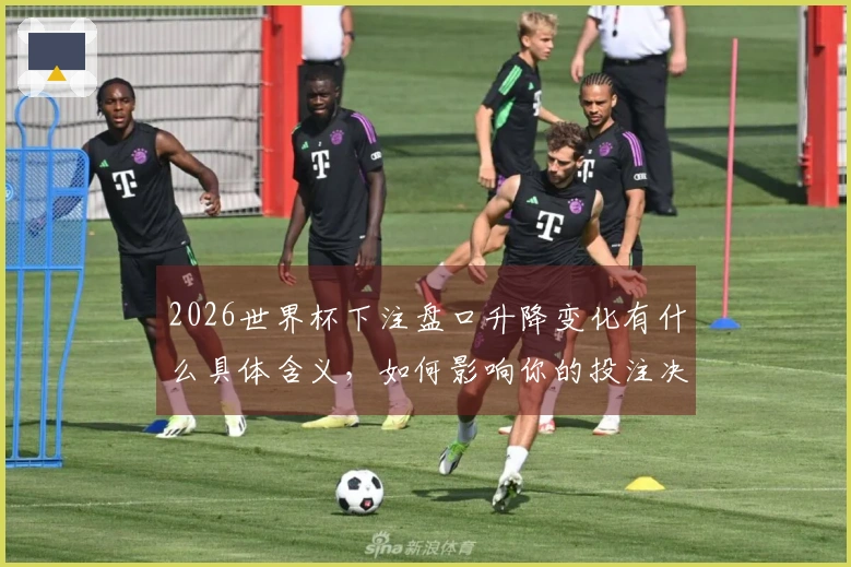 2026世界杯下注盘口升降变化有什么具体含义，如何影响你的投注决策？