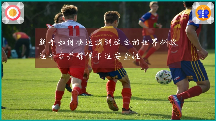 新手如何快速找到适合的世界杯投注平台并确保下注安全性