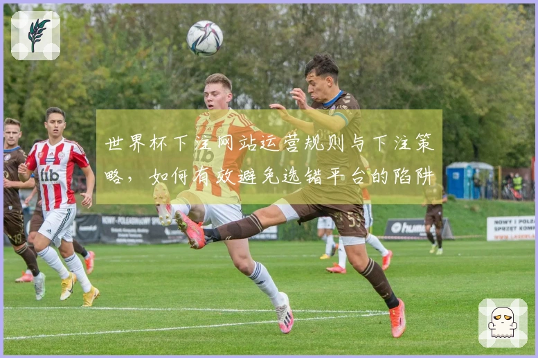 世界杯下注网站运营规则与下注策略，如何有效避免选错平台的陷阱