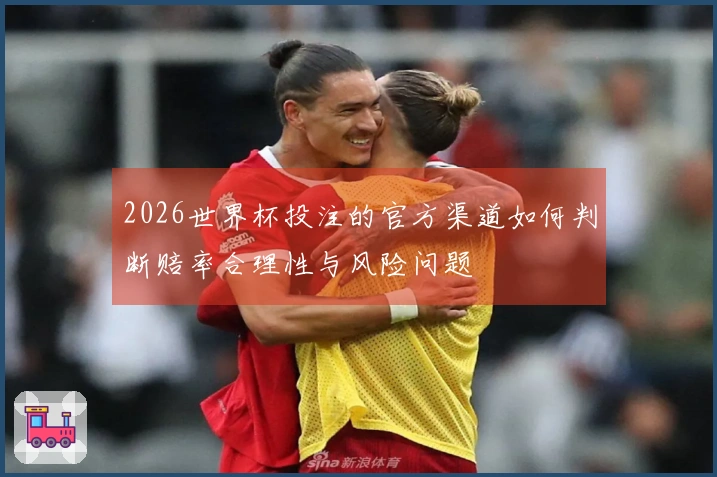2026世界杯投注的官方渠道如何判断赔率合理性与风险问题