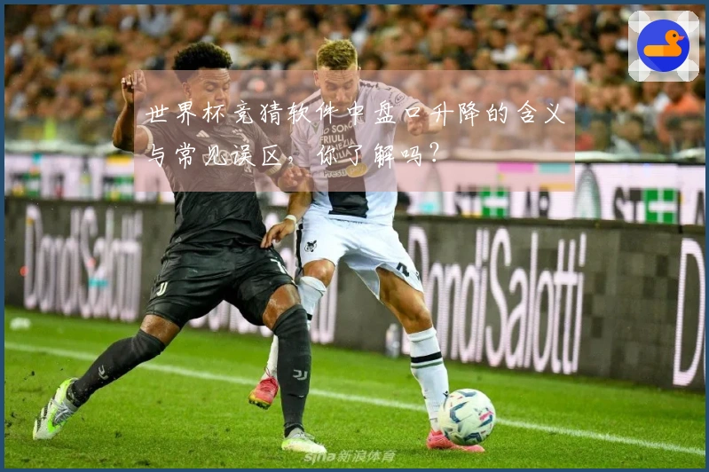 世界杯竞猜软件中盘口升降的含义与常见误区，你了解吗？