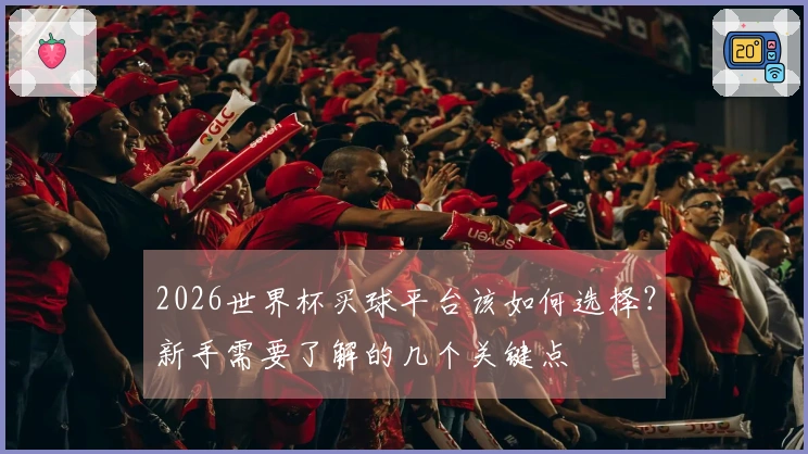 2026世界杯买球平台该如何选择？新手需要了解的几个关键点